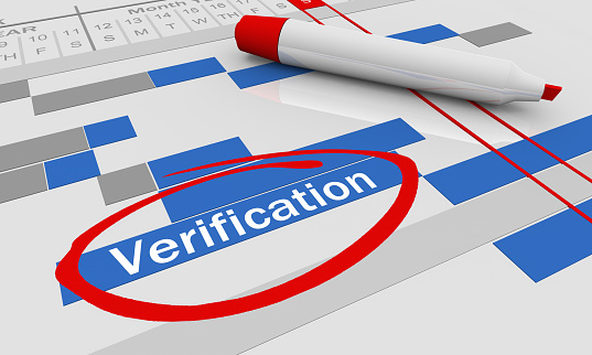 Verification Project Management